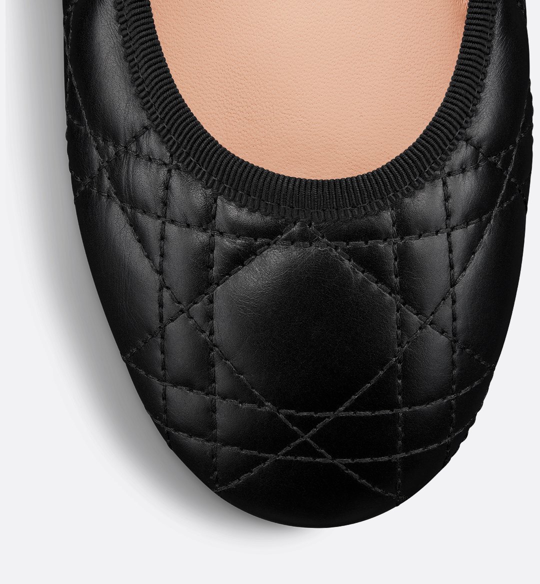 CHRISTIAN DIOR