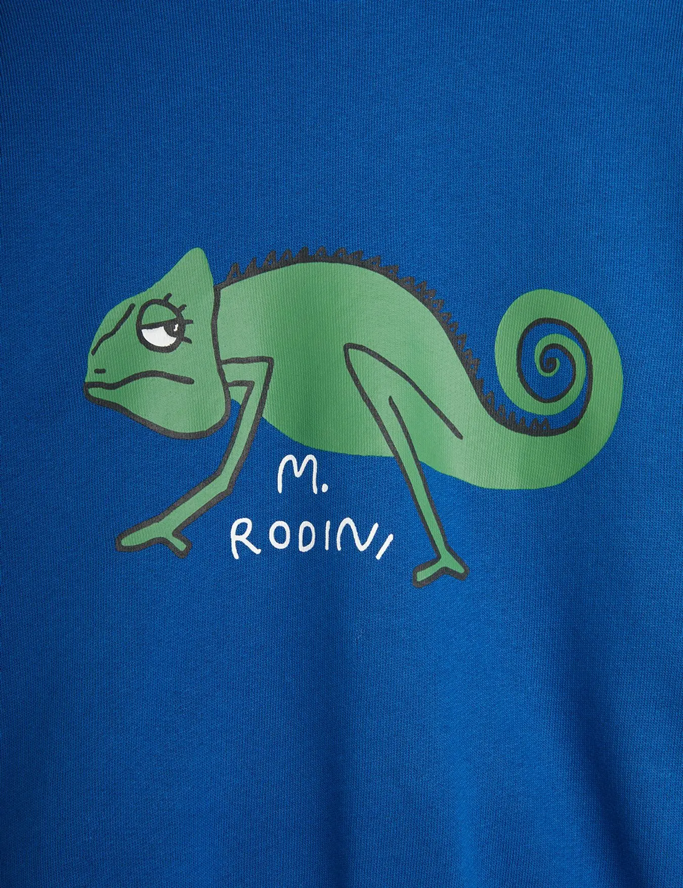 Mini Rodini